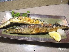 网红黑料牛奶秋刀鱼,揭秘网红背后的黑料真相