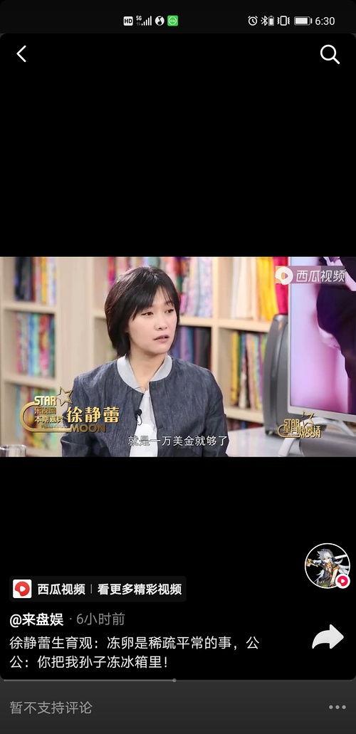 明星黑料ppt,PPT背后的真相与反思